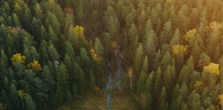 Entendiendo la Biblia