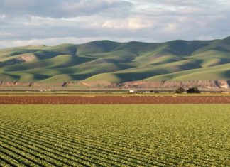 Lectura, escritura y Jesús
