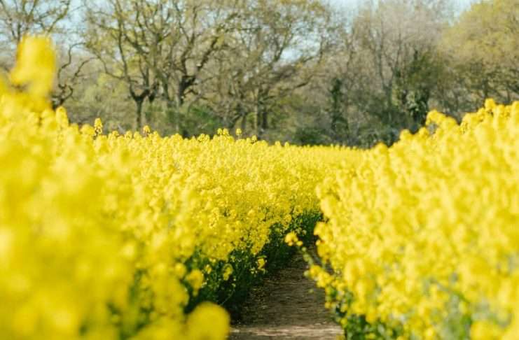 Entrega tus preocupaciones a Jesús
