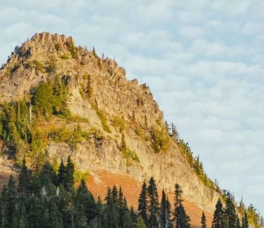 Hacer la paz en Jesús