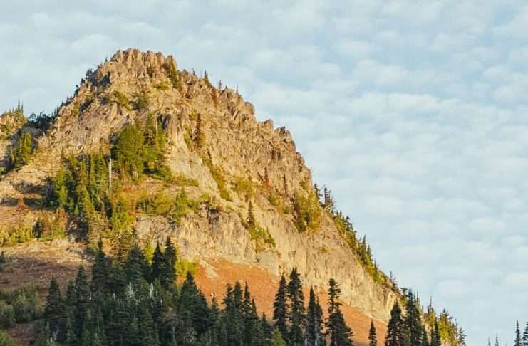 Hacer la paz en Jesús