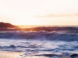 Vestido por el Espíritu Santo