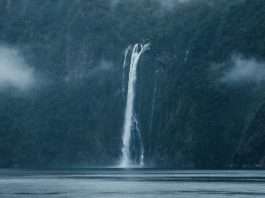 Palabras preciadas de la Biblia