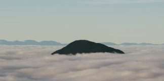 Programar nuestra mente