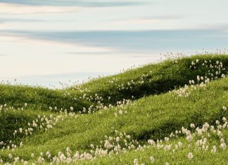 Dios nunca nos pierde