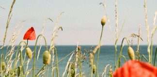 No murmurar contra Dios