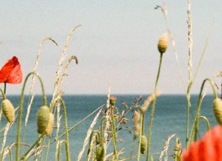 No murmurar contra Dios