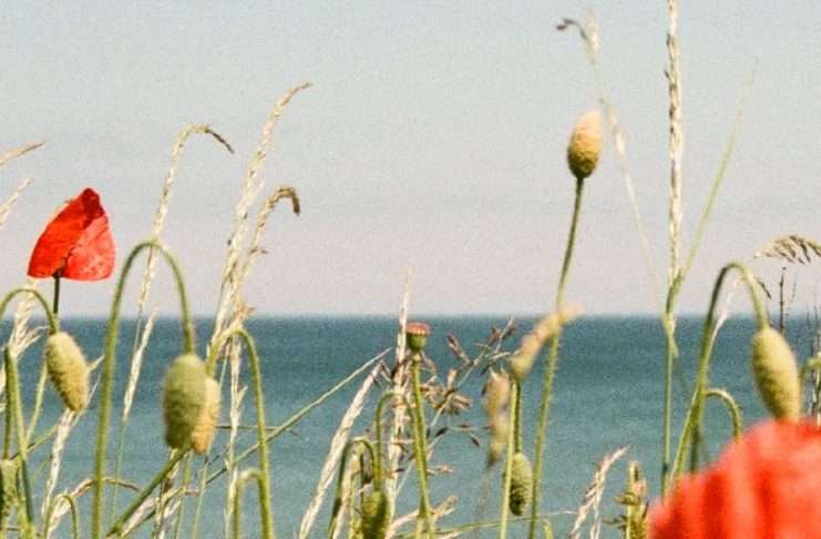 No murmurar contra Dios