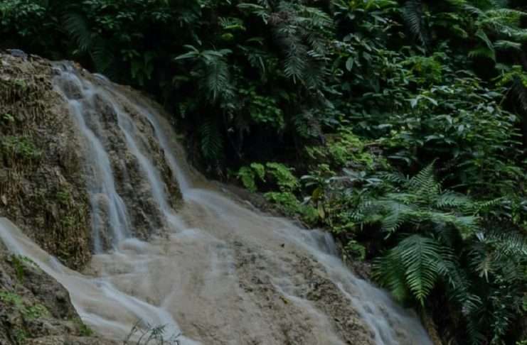 Dios con nosotros año tras año