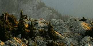 Soportarse unos a otros