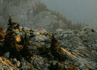 Soportarse unos a otros