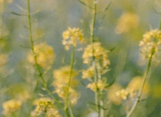 Olvidar nuestros pecados