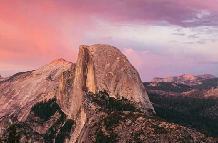 Del lamento a la alabanza