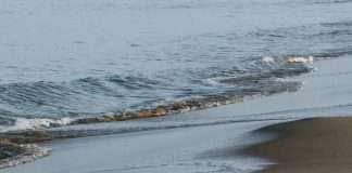 Revestidos de Cristo