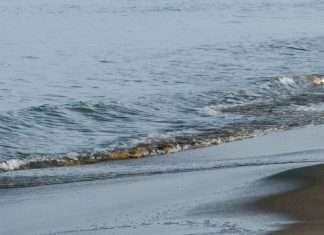 Revestidos de Cristo