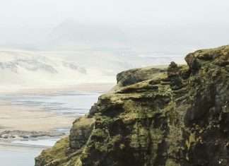 Acción; no distracción