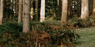 Confiar de verdad en Dios