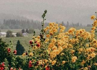 La perspectiva de Dios