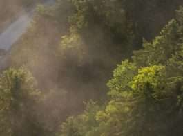 Amar a los demás en Jesús