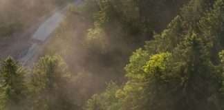 Amar a los demás en Jesús