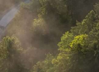 Amar a los demás en Jesús