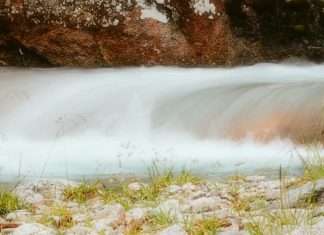 Profundamente arraigados en Dios