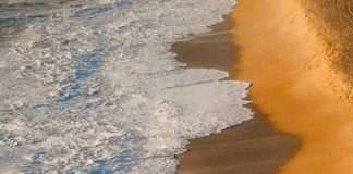 La mayor sorpresa de amor