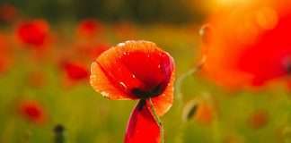 Una mamá mira atrás