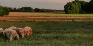 Una fe inquebrantable