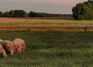 Una fe inquebrantable