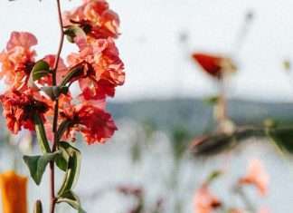 Ningún dolor desaprovechado