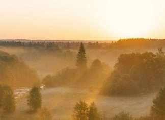 El lenguaje del amor