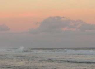 Lo que tu Padre celestial quiere