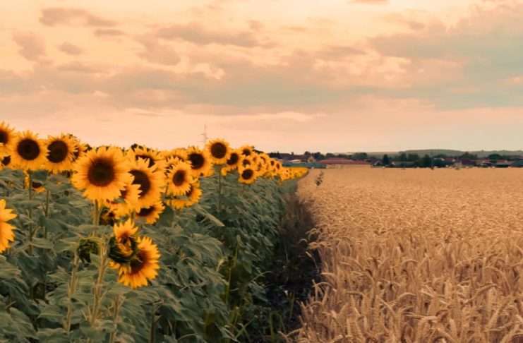 Personas nada comunes