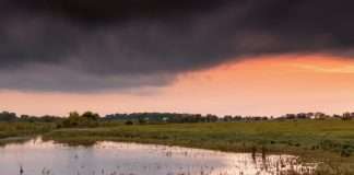 Y Dios envió… ¿polillas?
