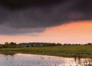 Y Dios envió… ¿polillas?