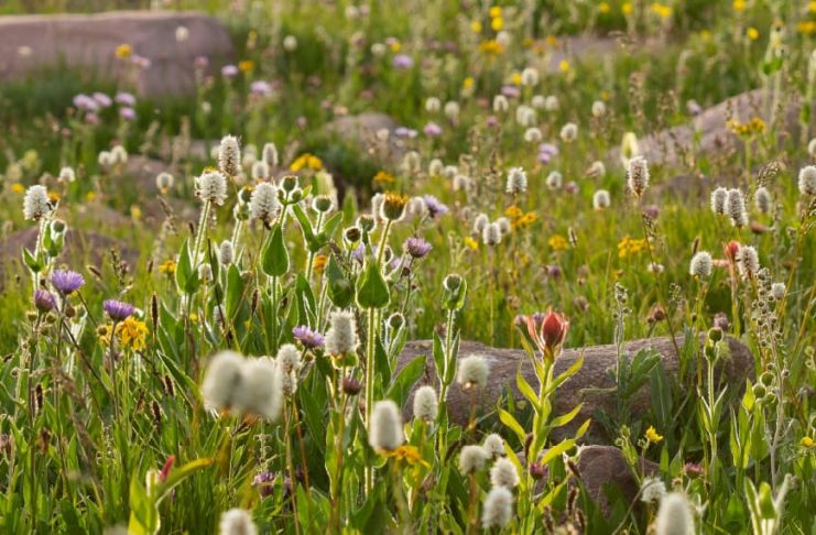 Firmes en la voluntad de Dios
