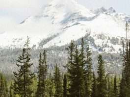 Cristo, nuestra prioridad