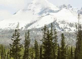 Cristo, nuestra prioridad