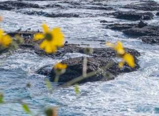 Las oraciones de una abuela