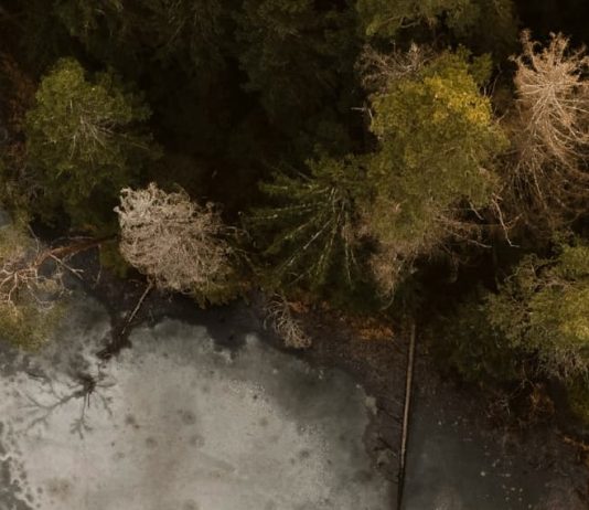 Amar mediante la oración