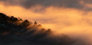 Jesús, nuestro todo