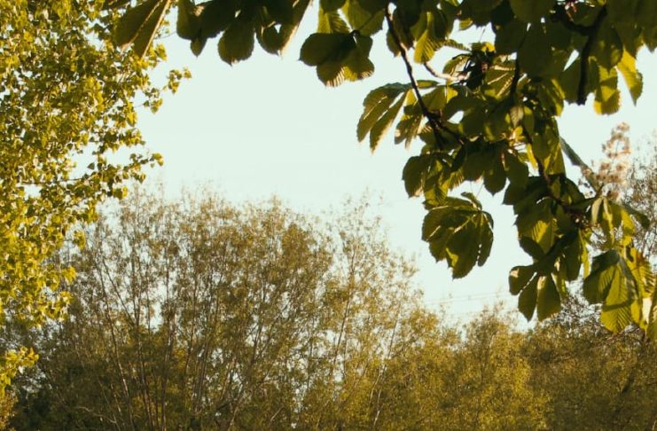 Decisiones y consecuencias