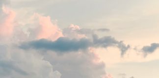 Oración desesperada