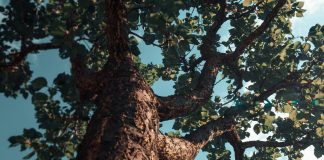 Servir a Dios en cada etapa