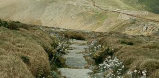 Las oraciones de Jesús