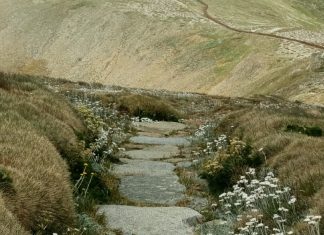 Las oraciones de Jesús