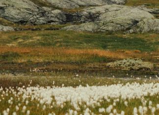 Lugar correcto, momento correcto