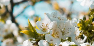 Un amigo a medianoche