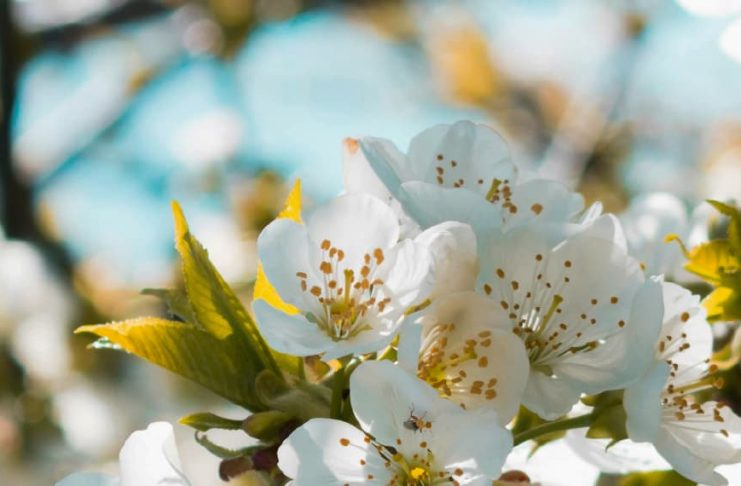 Un amigo a medianoche